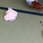 長岡蔵王・見附店